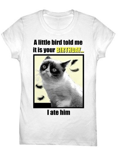 Grumpy Cat – Little Bird