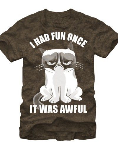 I Had Fun Once – Grumpy Cat