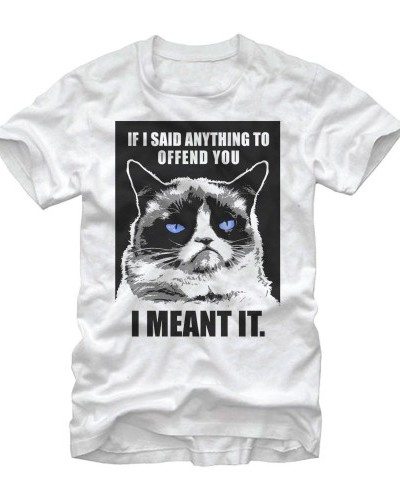 I Mean it! Grumpy Cat