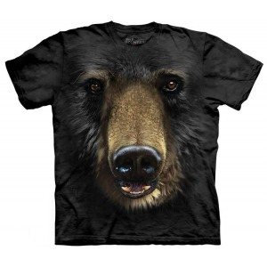 Black Bear