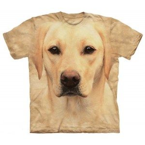 Yellow Lab